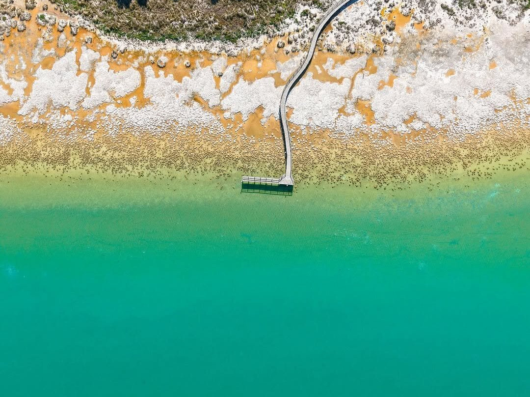 Thrombolites of Lake Clifton-Yalgorup National Park必去景点
