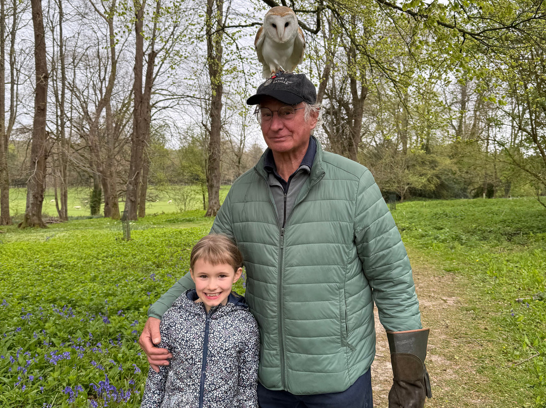 Hampshire Hawk Walks-Four Marks必去景点