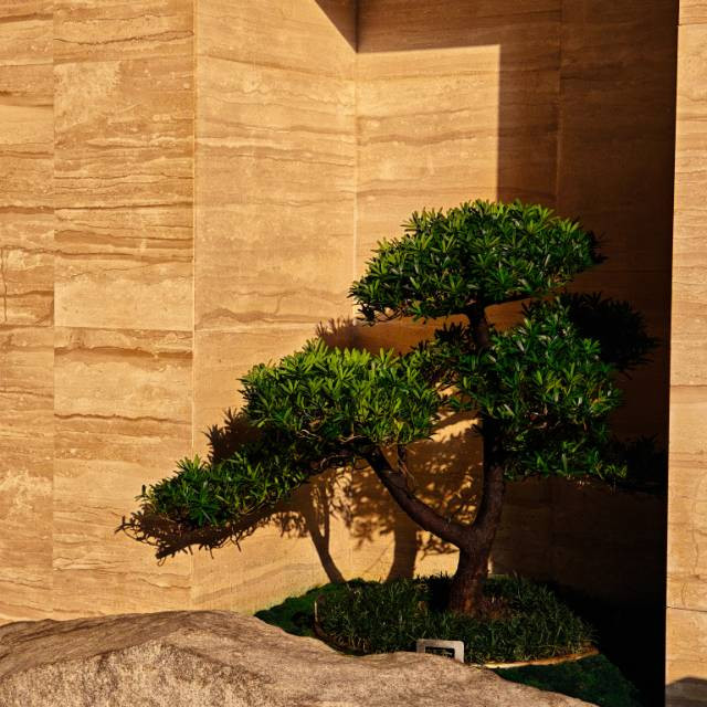 深圳柏悦酒店主图