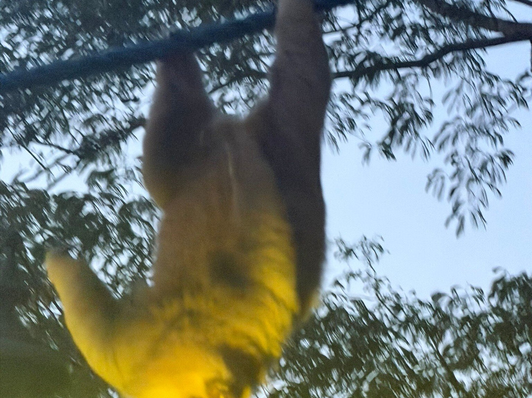 帕拉多自然度假村和温泉主图