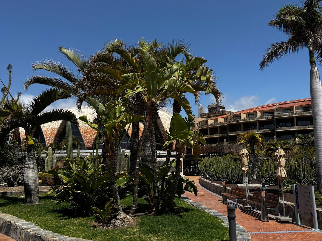 H10普拉亚梅洛内拉斯地平线精选酒店主图