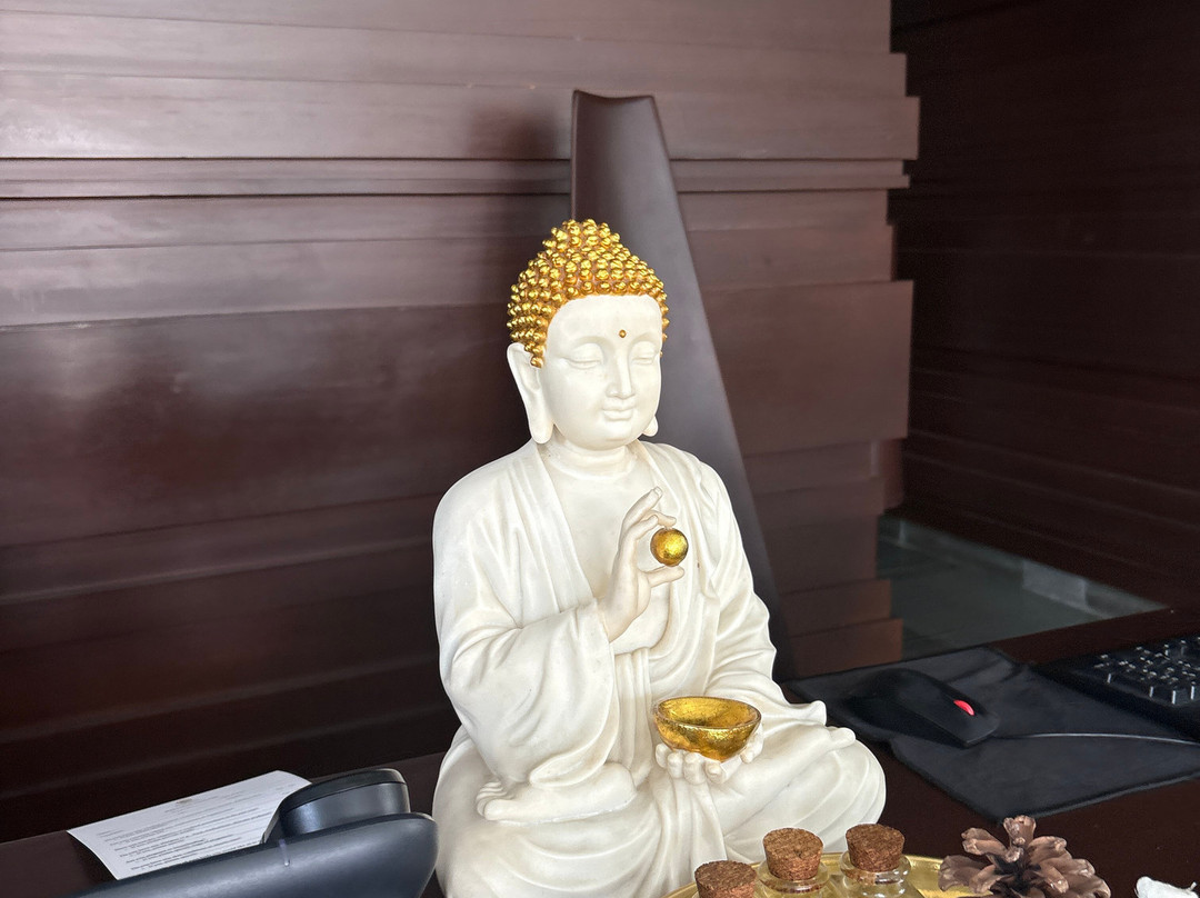 莫克沙喜马拉雅温泉度假村主图