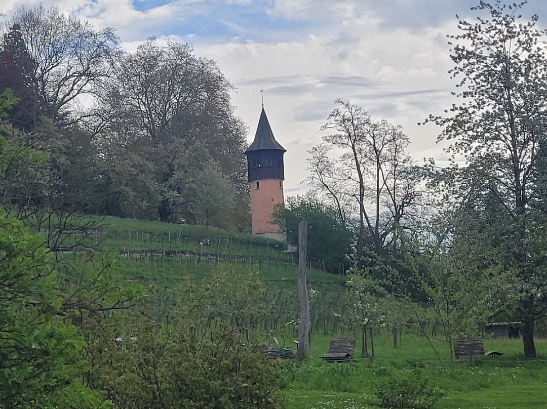 Isle of Mainau-康士坦茨必去景点