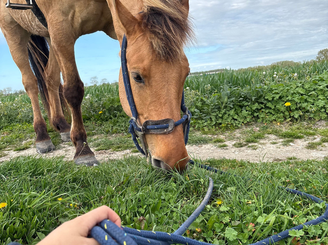 Espaces Equestres Henson-Saint-Quentin-en-Tourmont必去景点