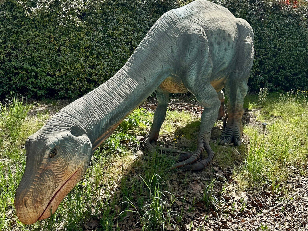Dinopedia Parcs Provence-La Roque-d'Antheron必去景点