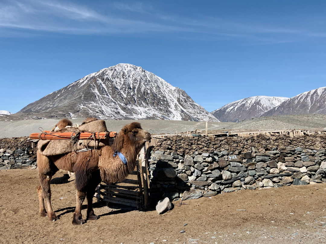 Discover Kazakh Nomads LLC-Olgiy必去景点