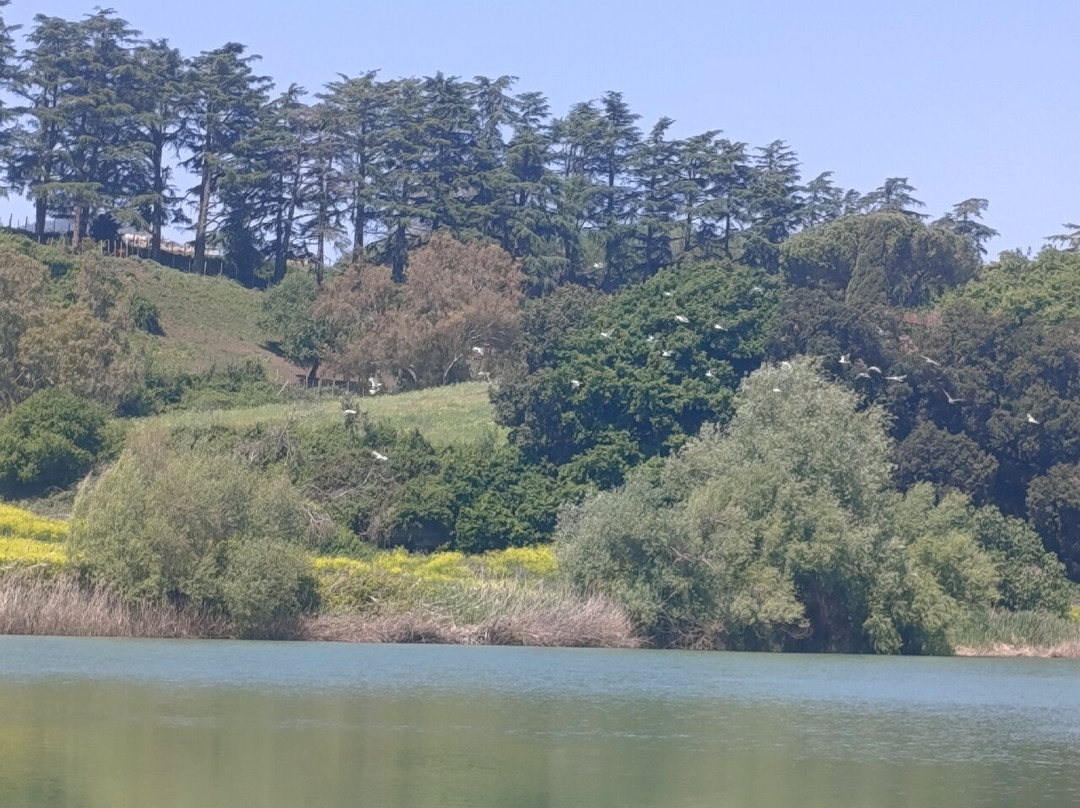 Lago di Giulianello-Artena必去景点