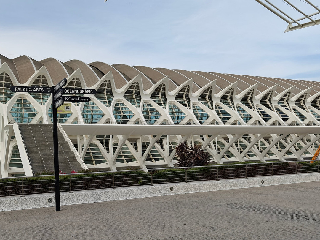 Metro de Valencia (El)-巴伦西亚必去景点