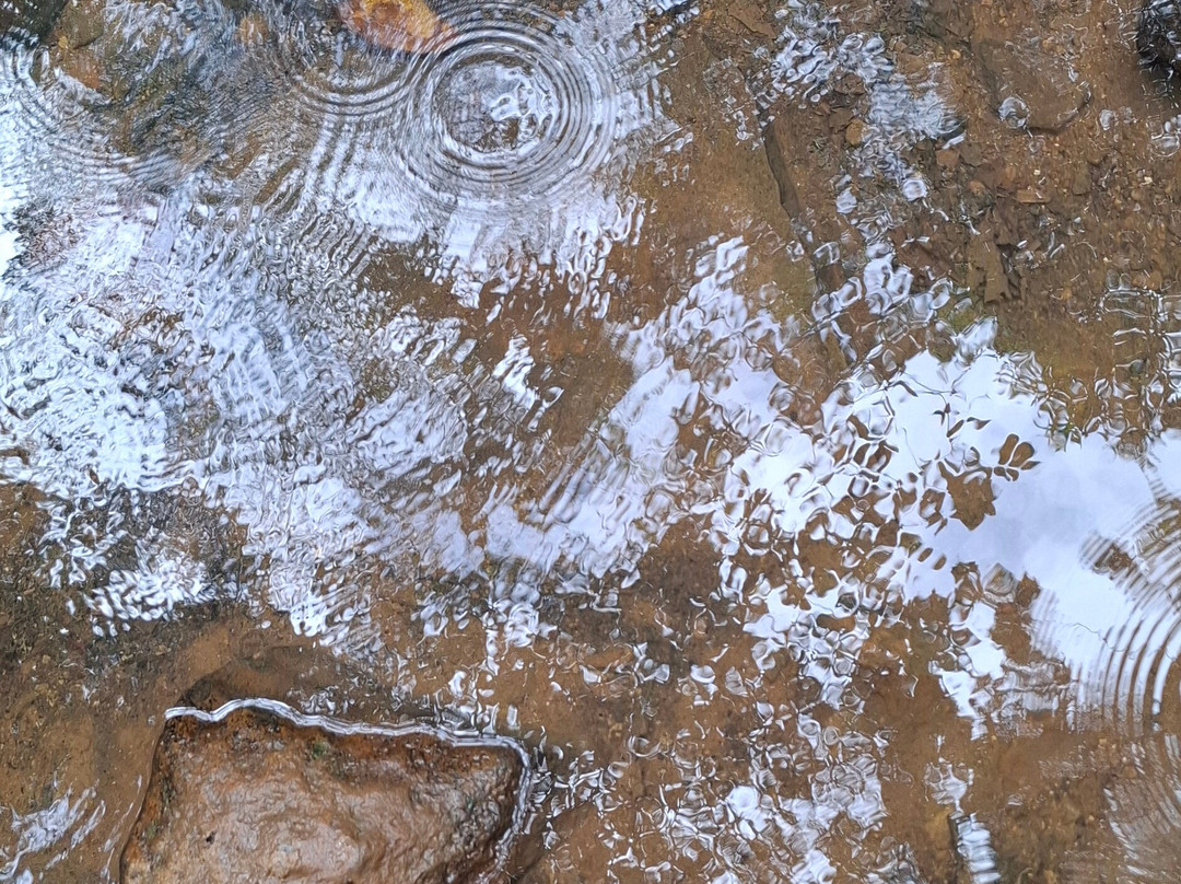 Canyon Moustique-Petit-Bourg必去景点