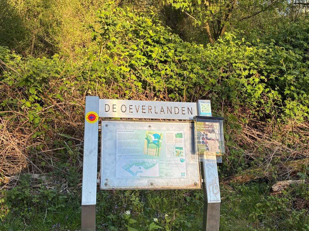Park de Oeverlanden-阿姆斯特丹必去景点