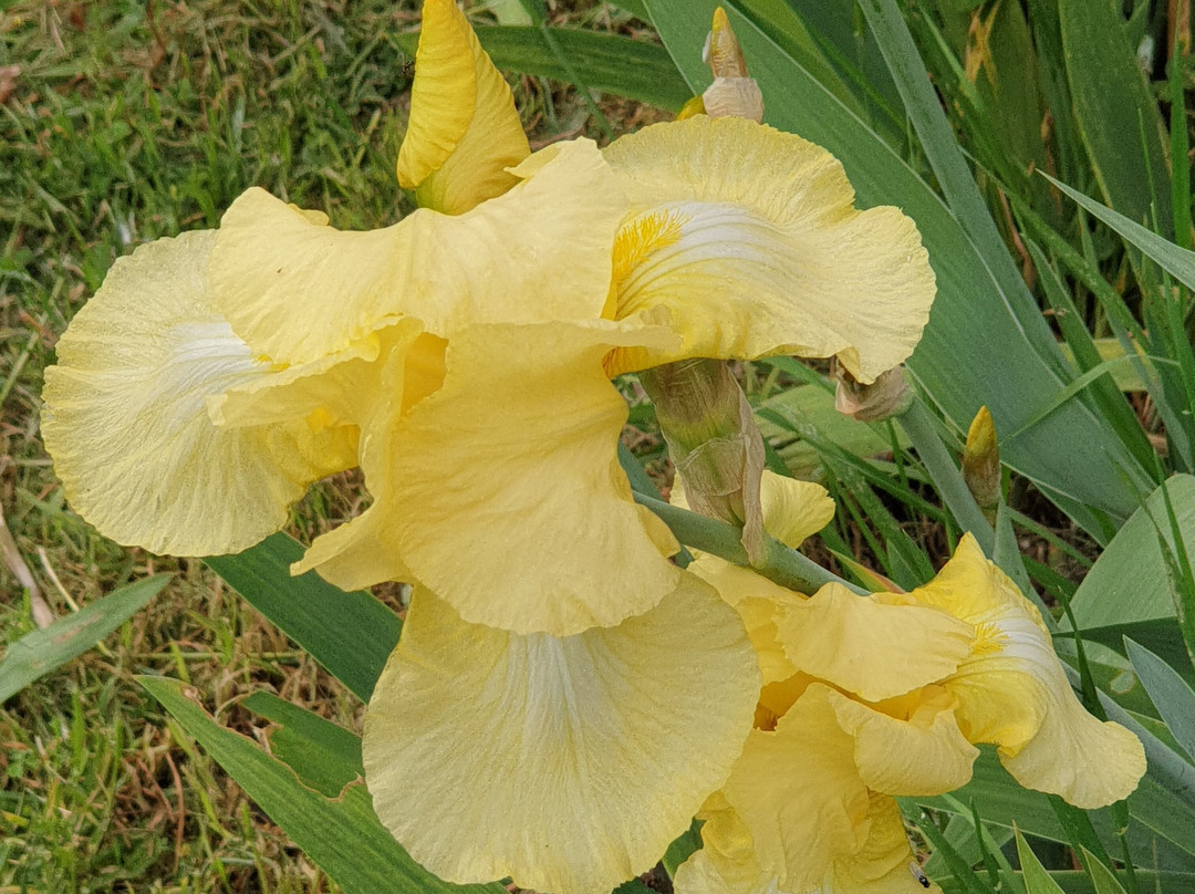 Giardino delle Essenze-Lagnasco必去景点