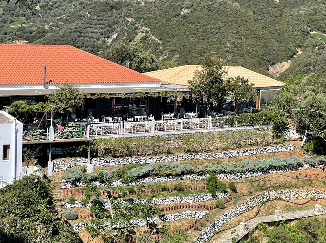 Botanical Garden Of Crete-Fournes必去景点