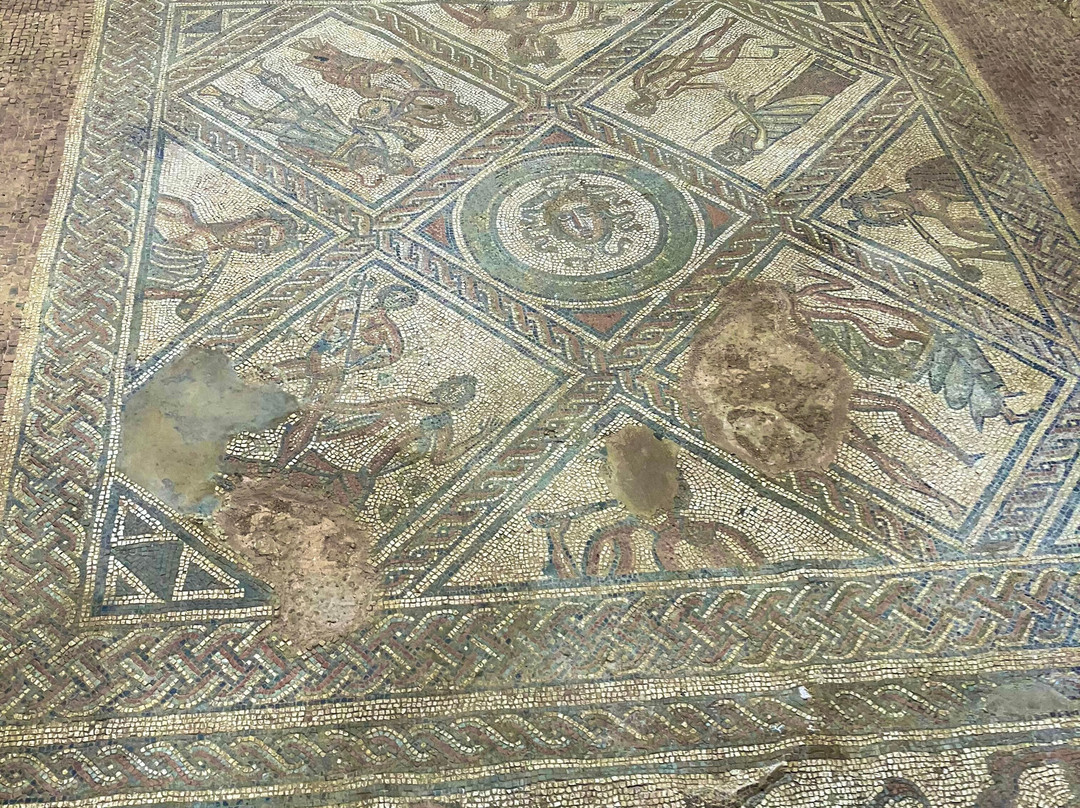 Brading Roman Villa-Brading必去景点
