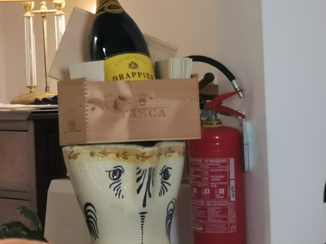 皮佐穆诺维耶斯泰宫酒店主图