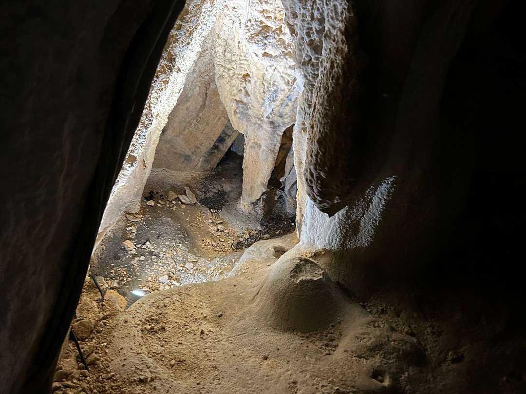 Grotte de Lombrives-Ussat必去景点