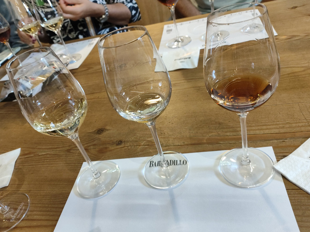 Bodegas Barbadillo-Sanlucar de Barrameda必去景点