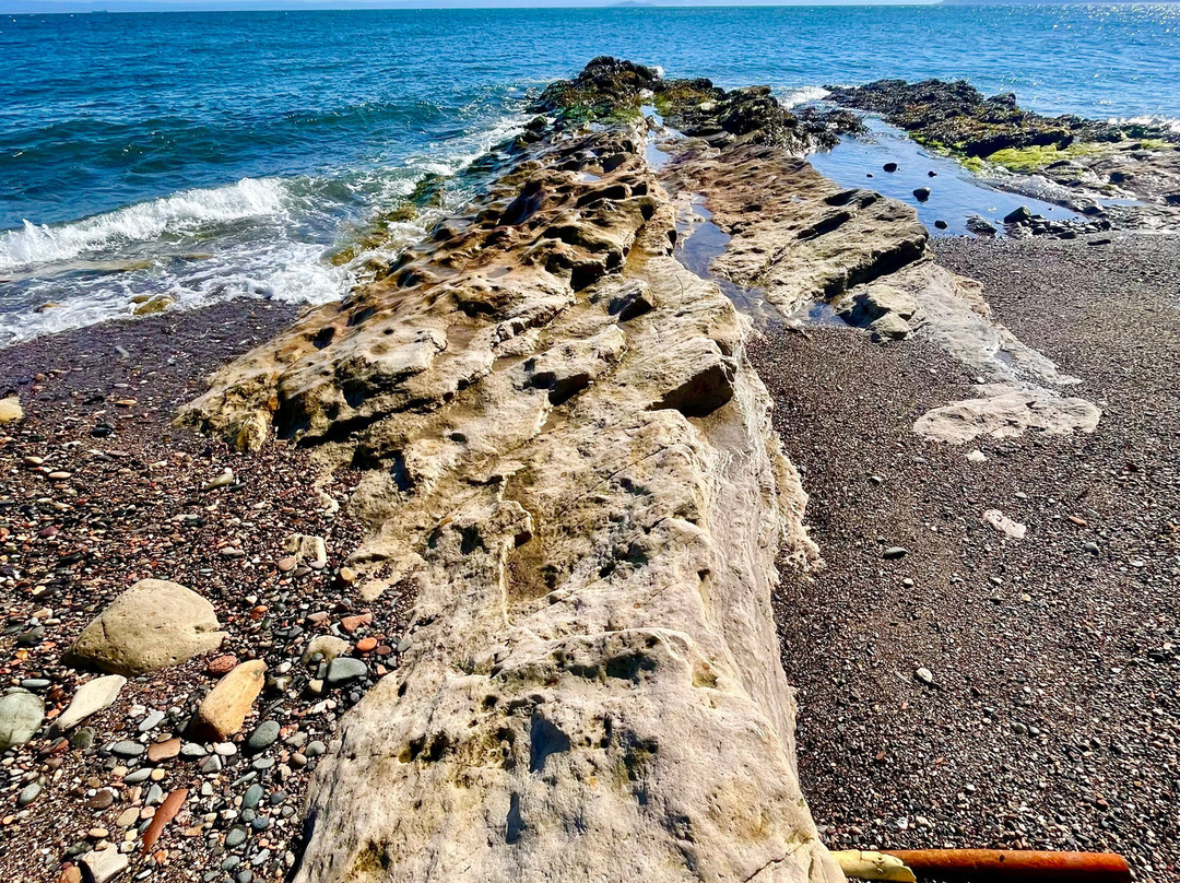 Ravenscraig Park-Kirkcaldy必去景点