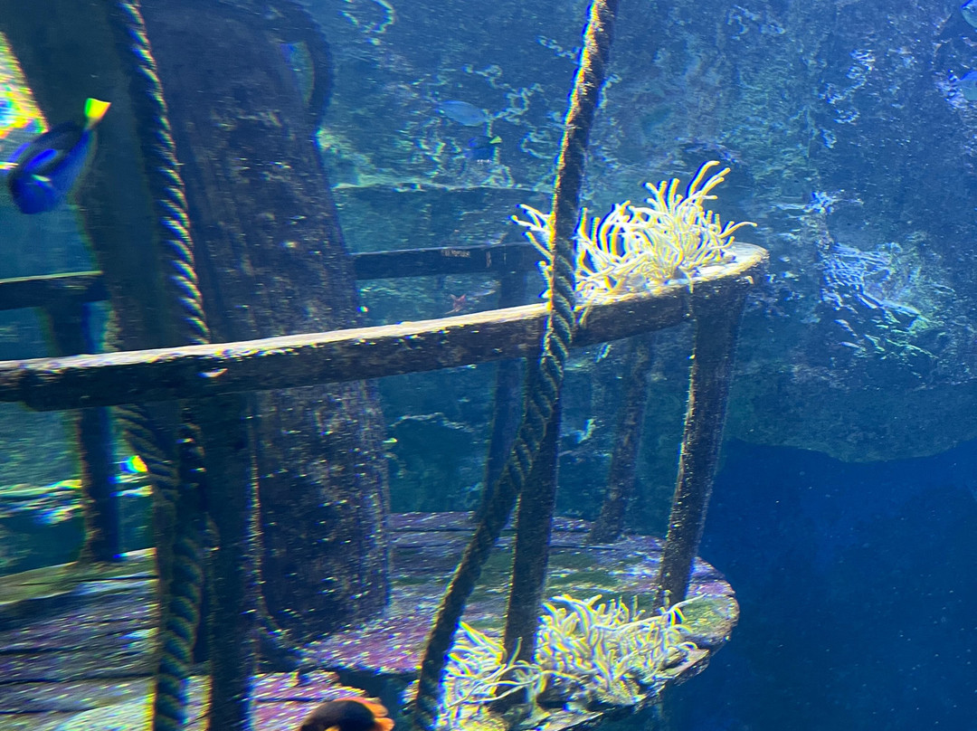 Grand Aquarium-圣马洛必去景点