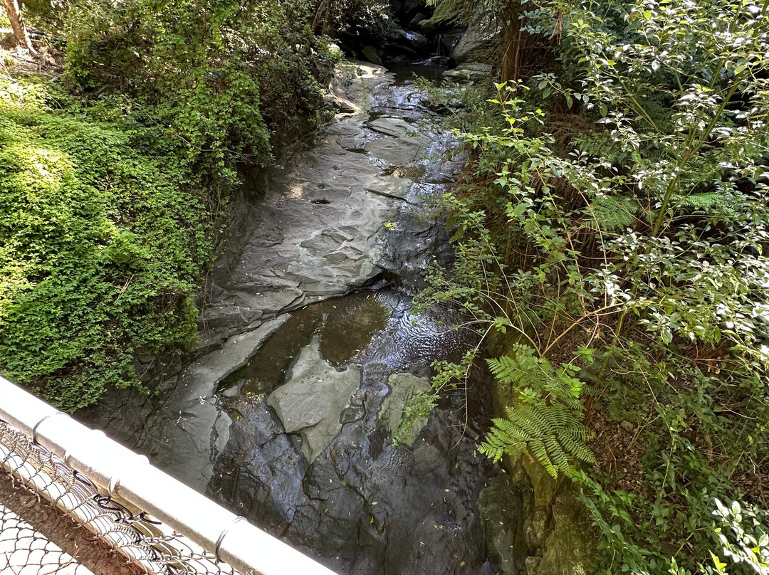 Willoughby falls-Cremorne必去景点