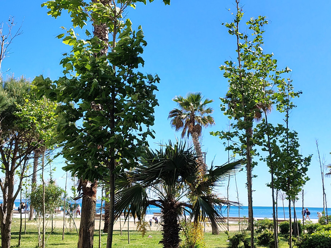 Promenade Park (Shëtitorja "Vollga")-杜勒斯必去景点