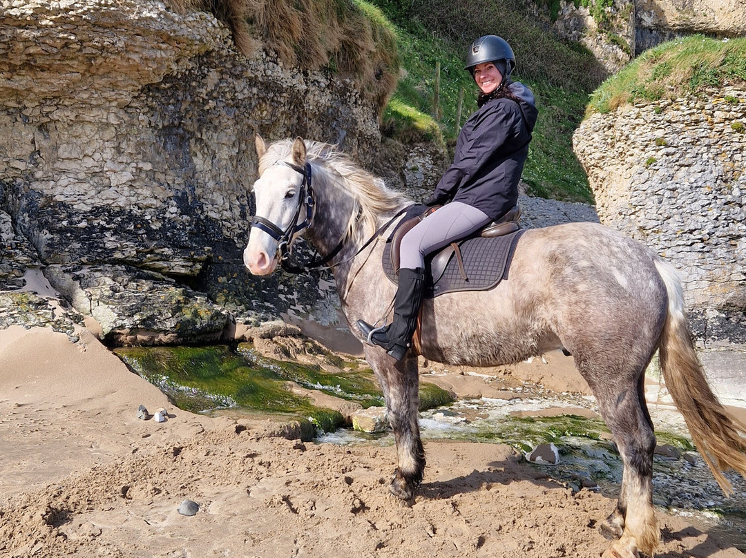 Bespoke Equestrian Ireland-都柏林必去景点