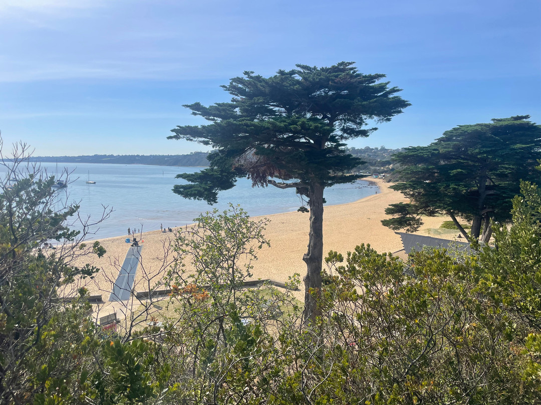 Mothers Beach-莫宁顿必去景点