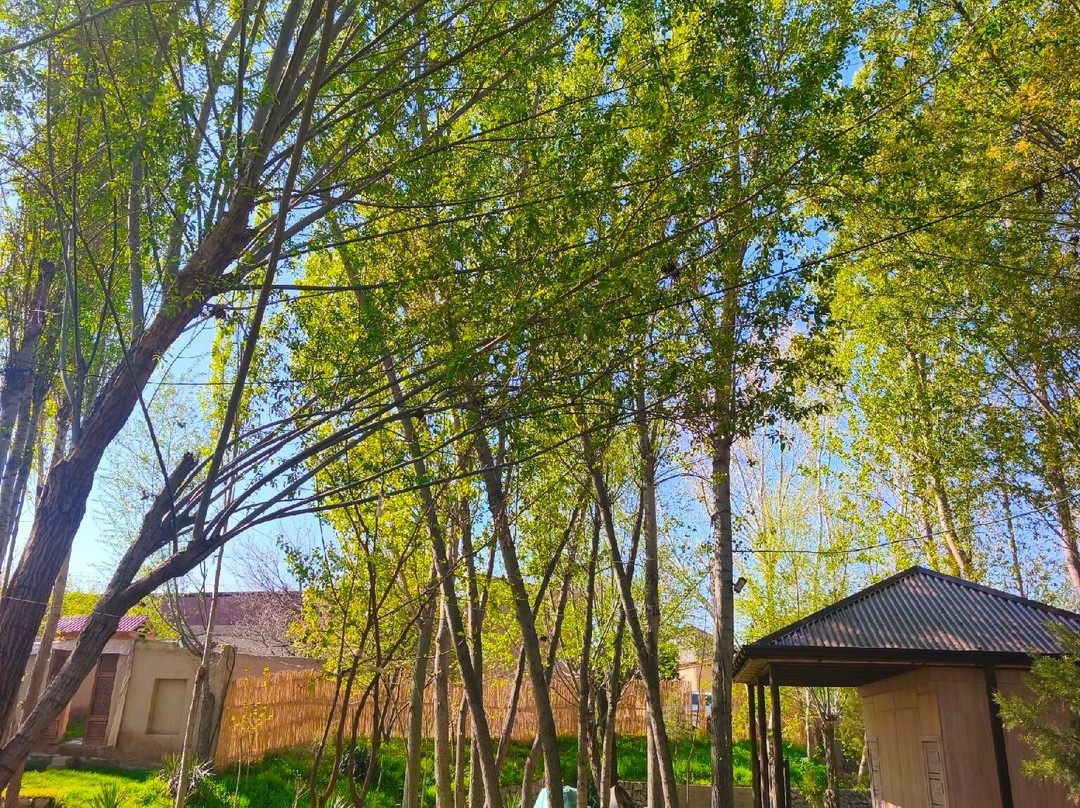Memorial Complex of Imam Al Bukhari-布哈拉必去景点