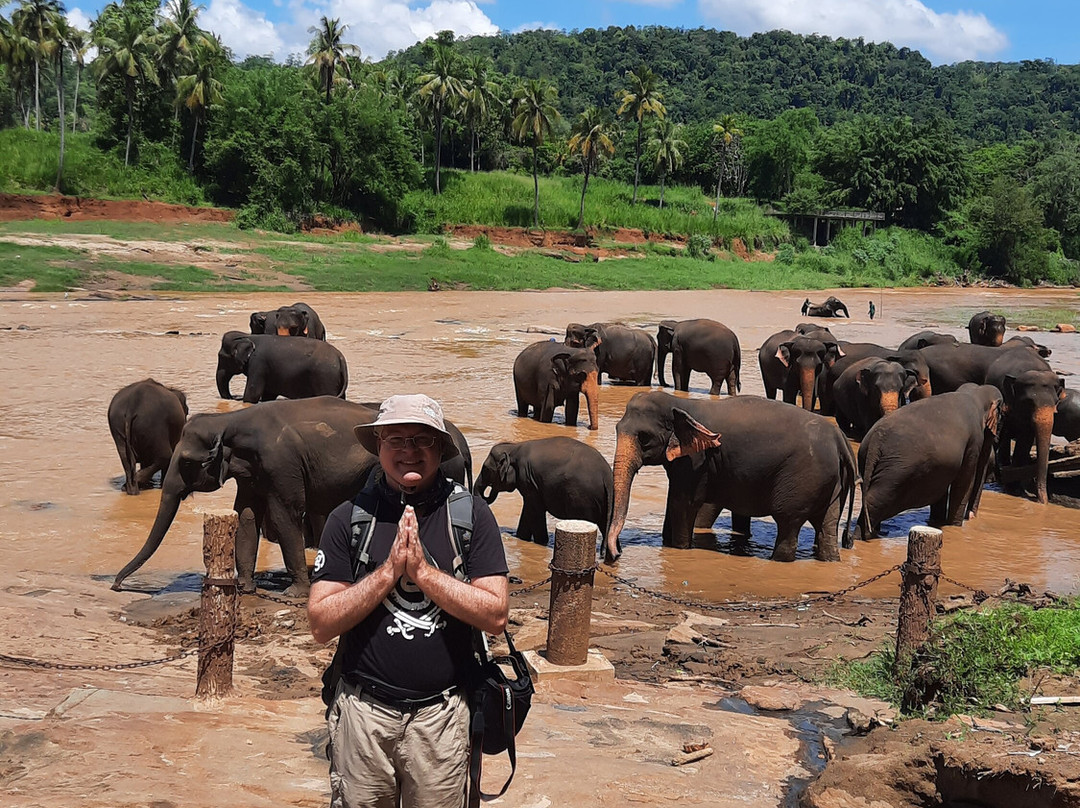 Sri Lanka Wide Tours-科伦坡必去景点