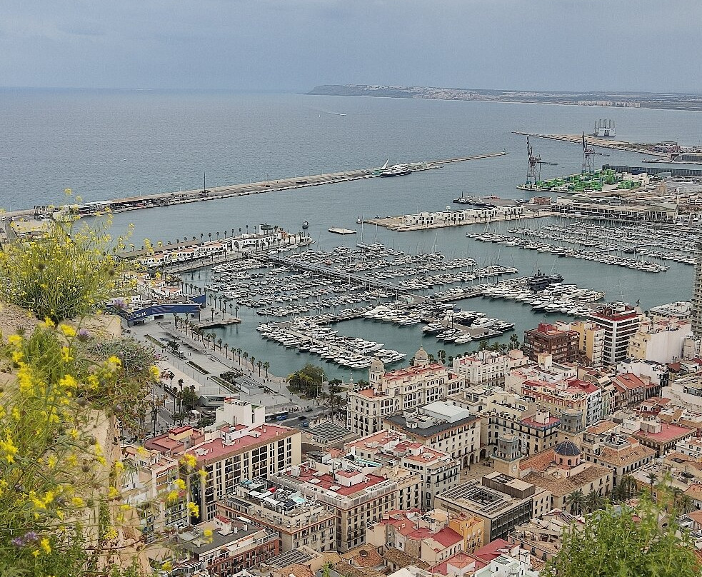 Tram Alicante-阿利坎特省必去景点
