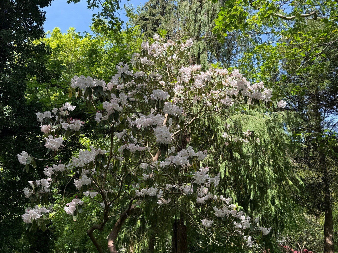 Sheringham Park-Sheringham必去景点