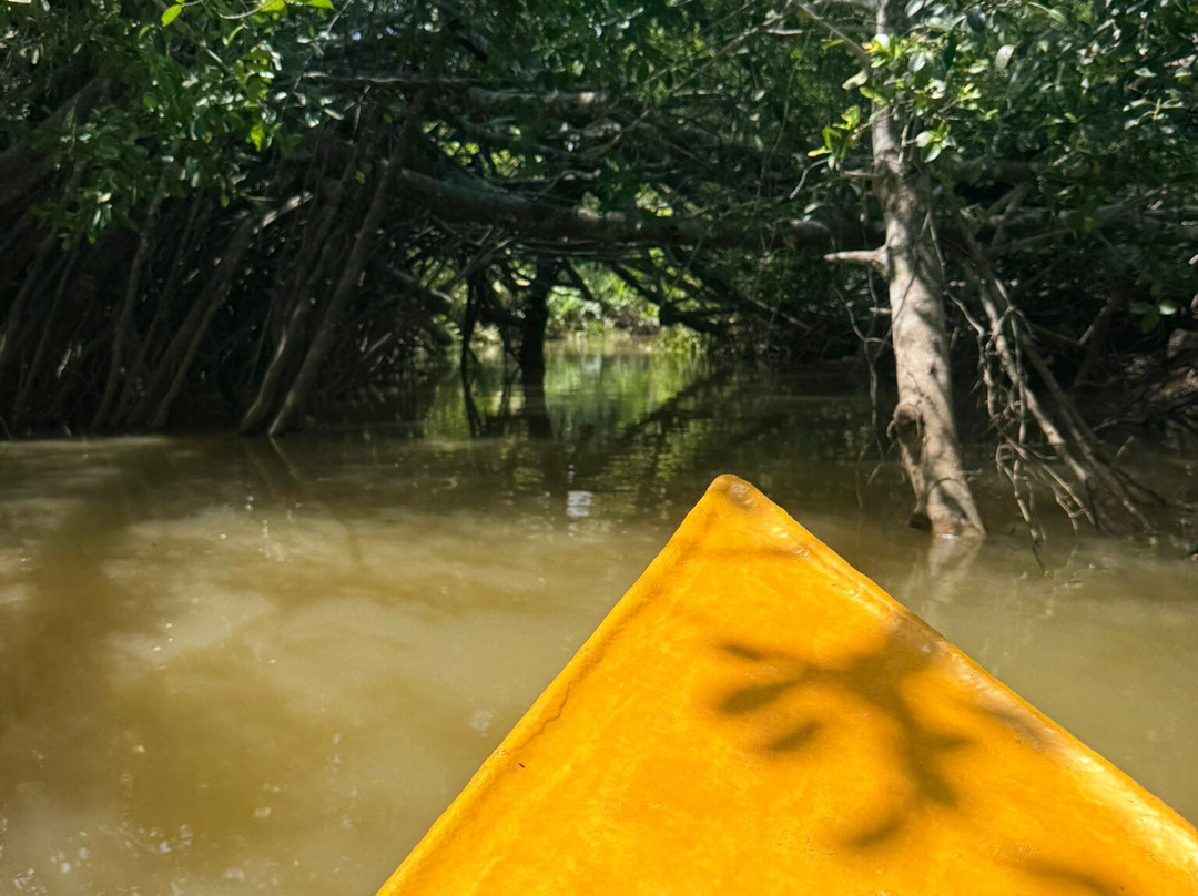 The Little Amazon-达瓜巴必去景点