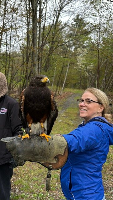 Monadnock Falconry-Temple必去景点