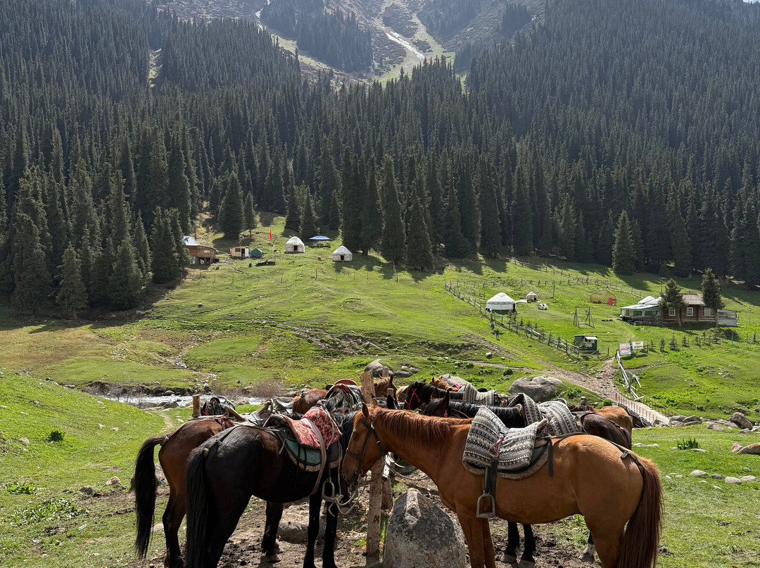 Kyrgyz Riders Travel Company-Kochkor必去景点