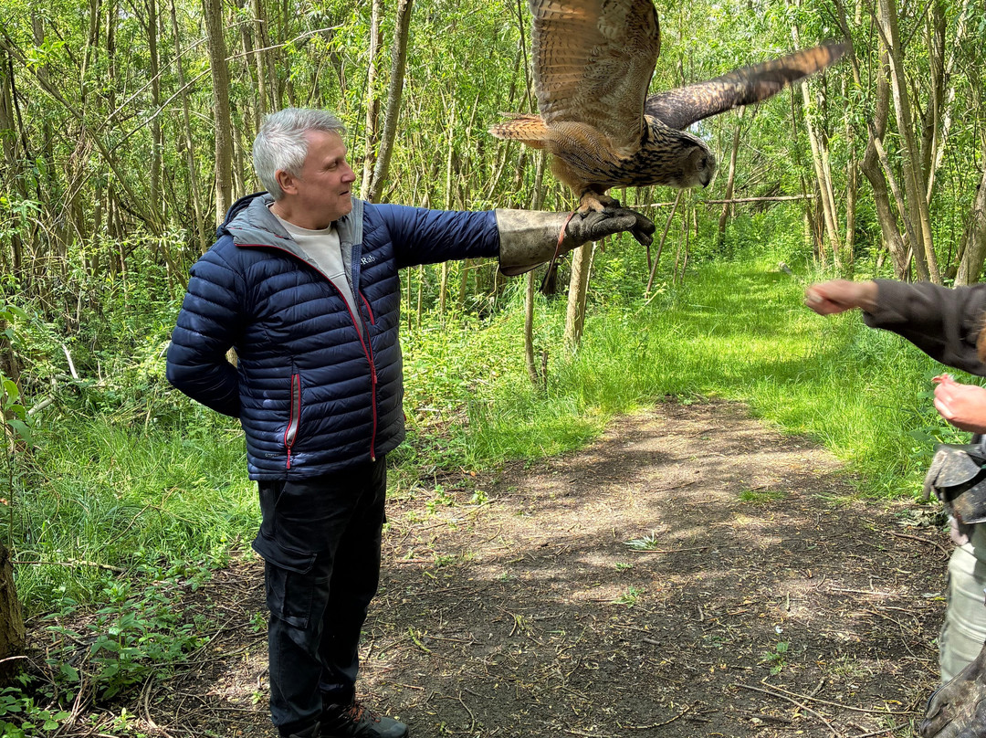 Bird on the Hand Falconry Experiences-Church Langton必去景点