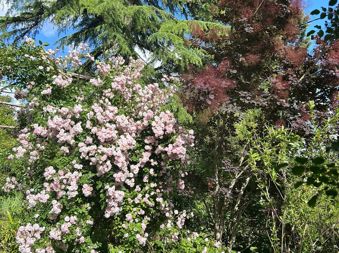 Le Jardin de Boissonna-Baleyssagues必去景点