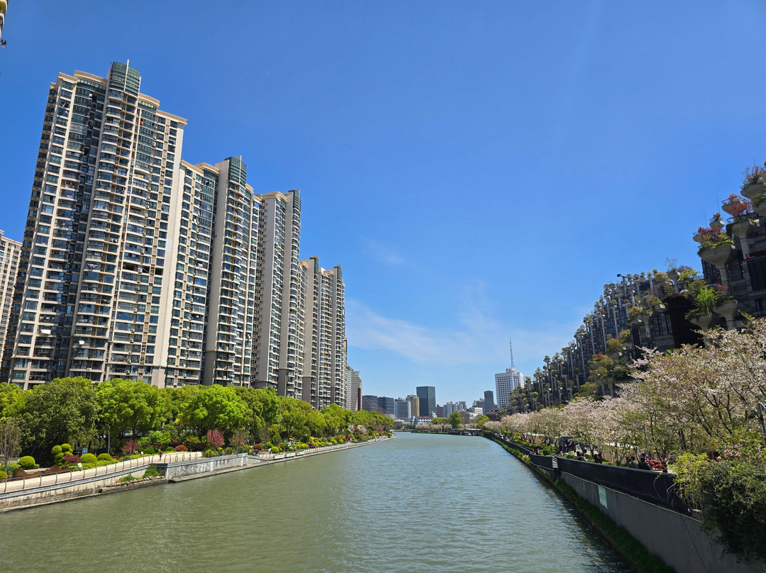 大洋晶典·天安千树-上海市必去景点