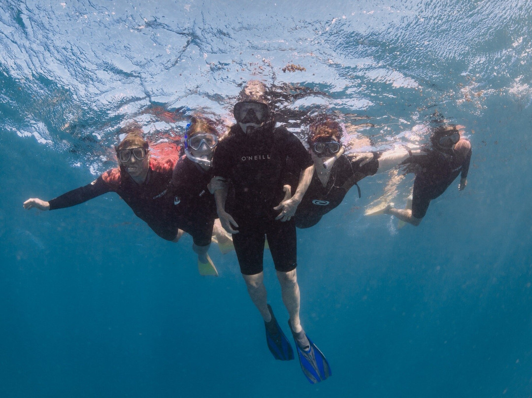 Ningaloo Coral Bay Boats-珊瑚湾必去景点