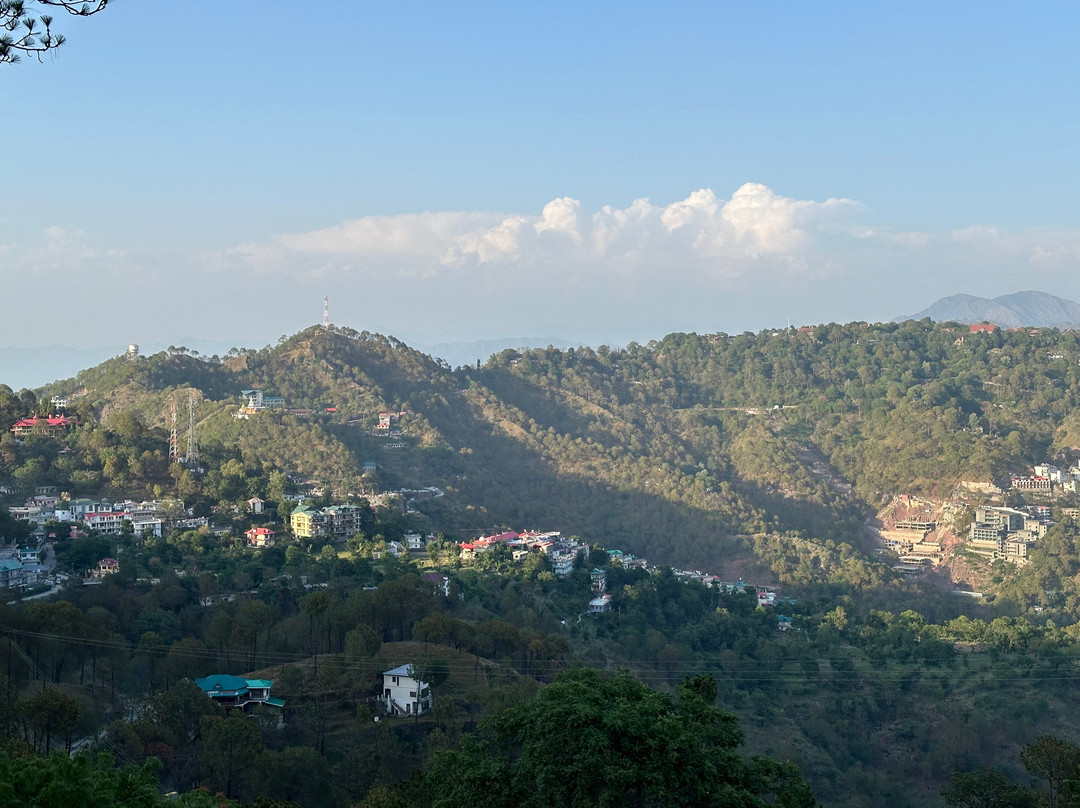 Kasauli Nature Walks With Vanita-Kasauli必去景点