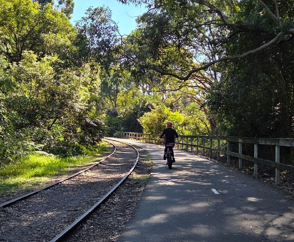 Fernleigh Track-纽卡斯尔必去景点