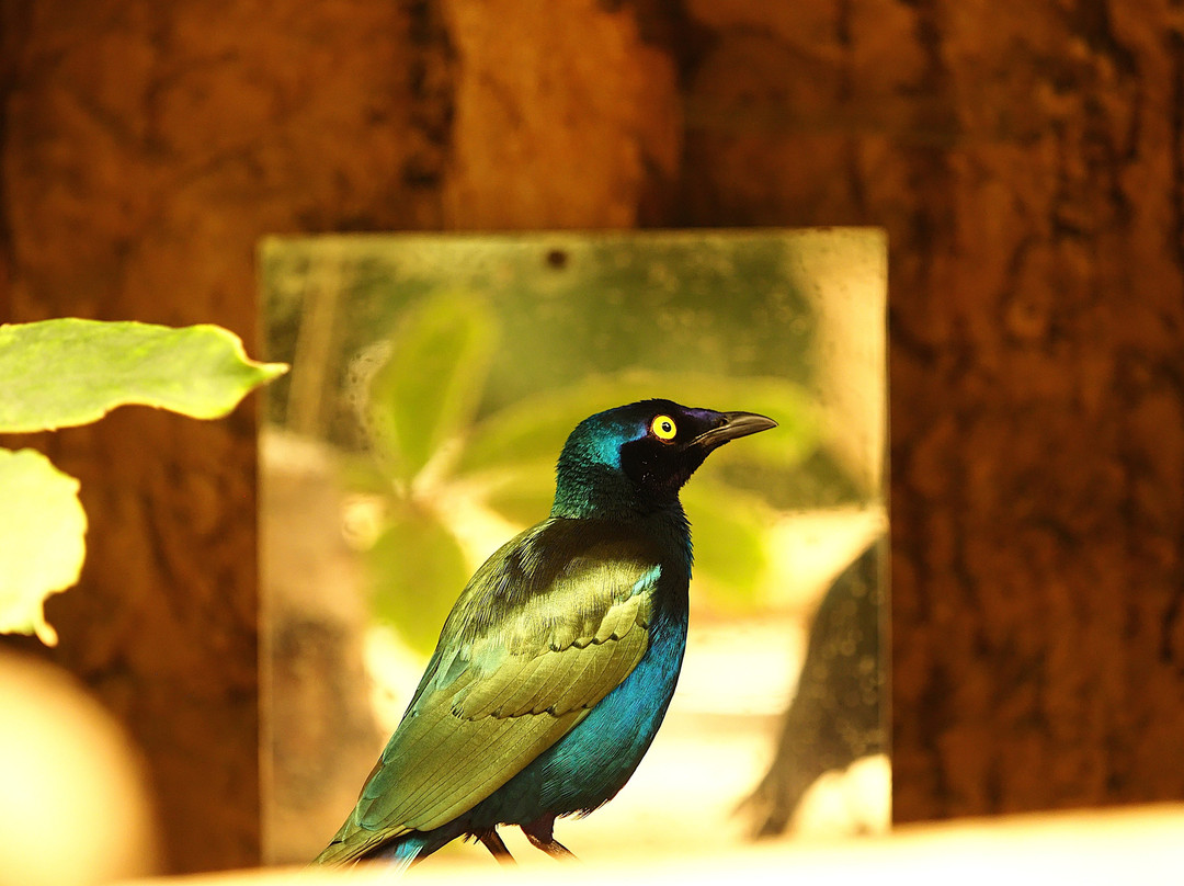 Amazon World Zoo Park-桑当必去景点