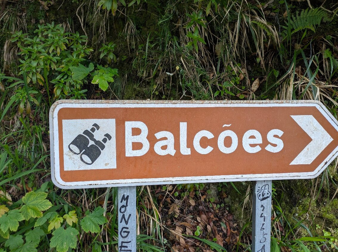 PR11 Vereda dos Balcões-Ribeiro Frio必去景点
