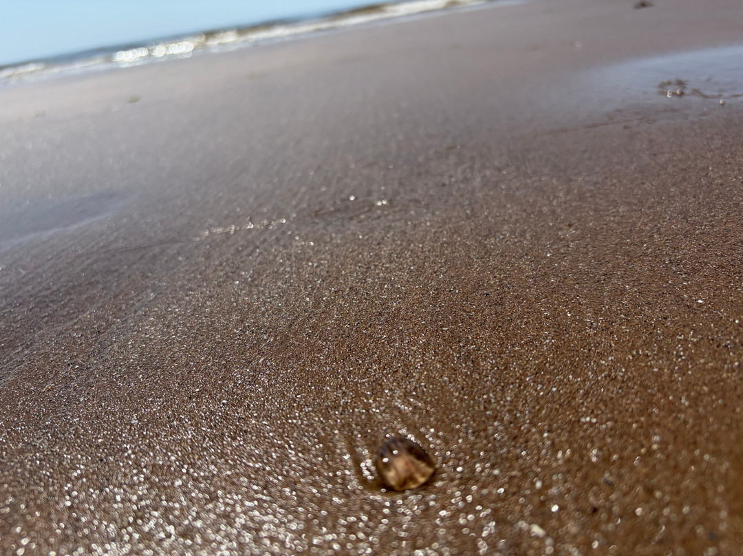 St. Bees Beach-St. Bees必去景点