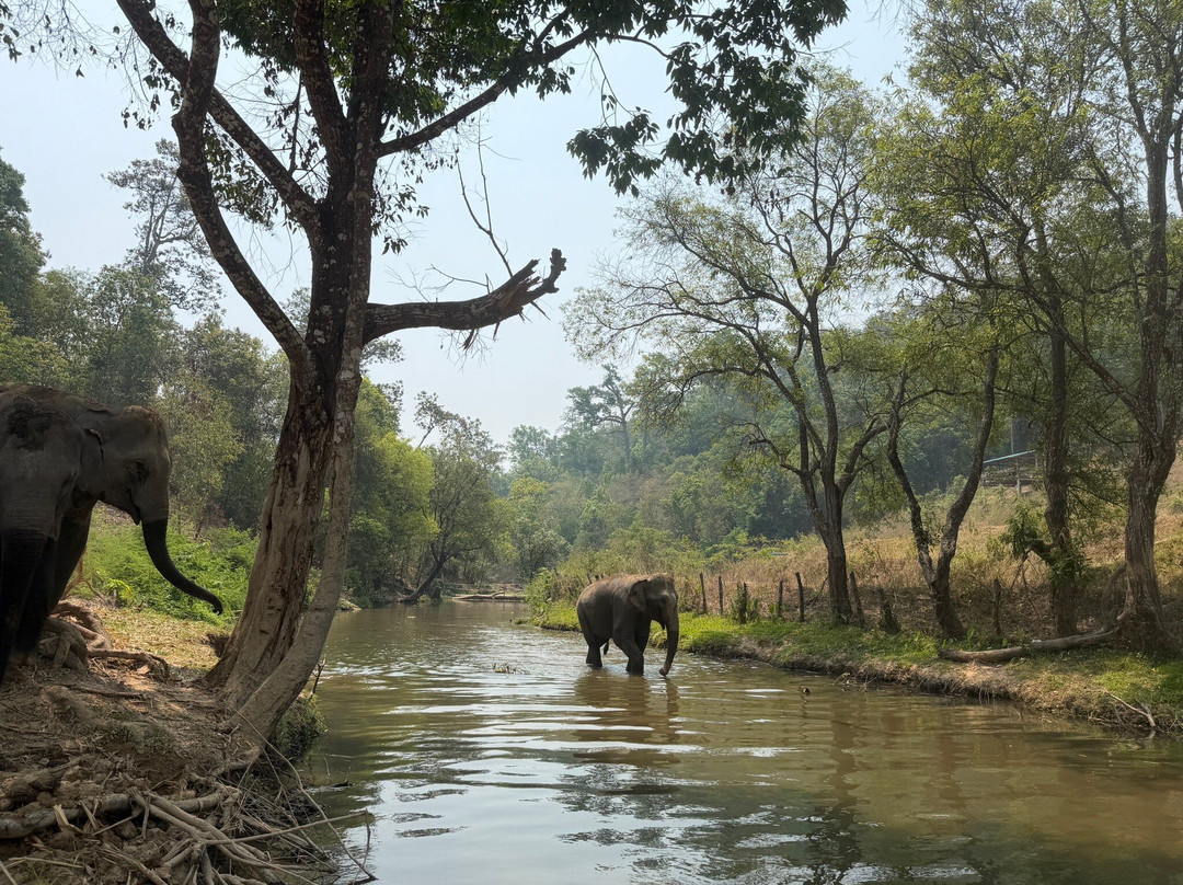 Pon Elephant Thailand-Mae Win必去景点