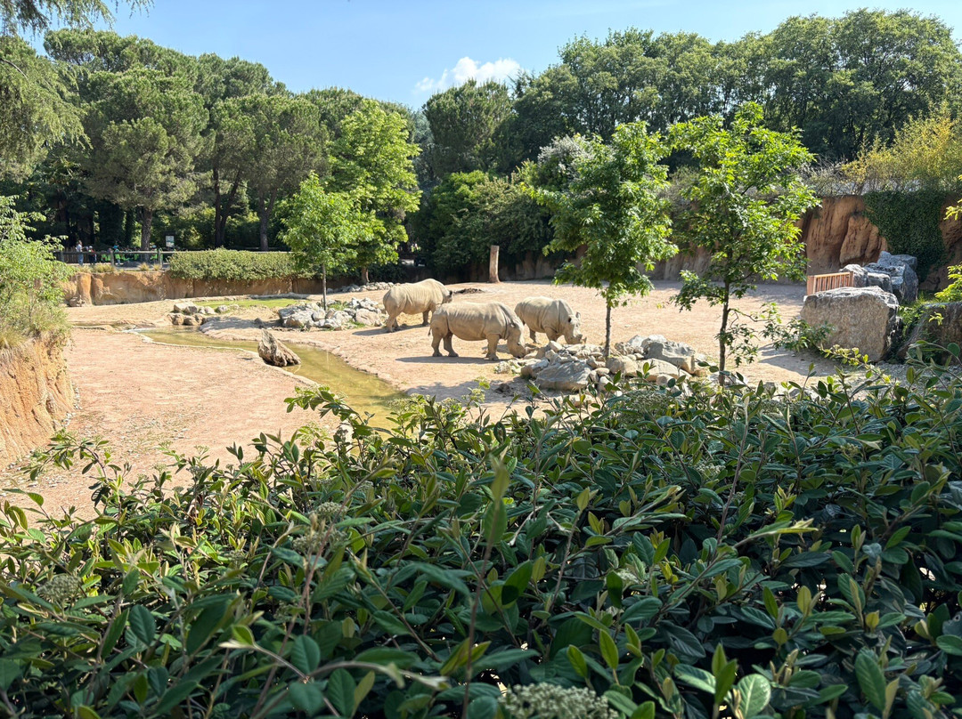 Parco Faunistico Le Cornelle-Valbrembo必去景点