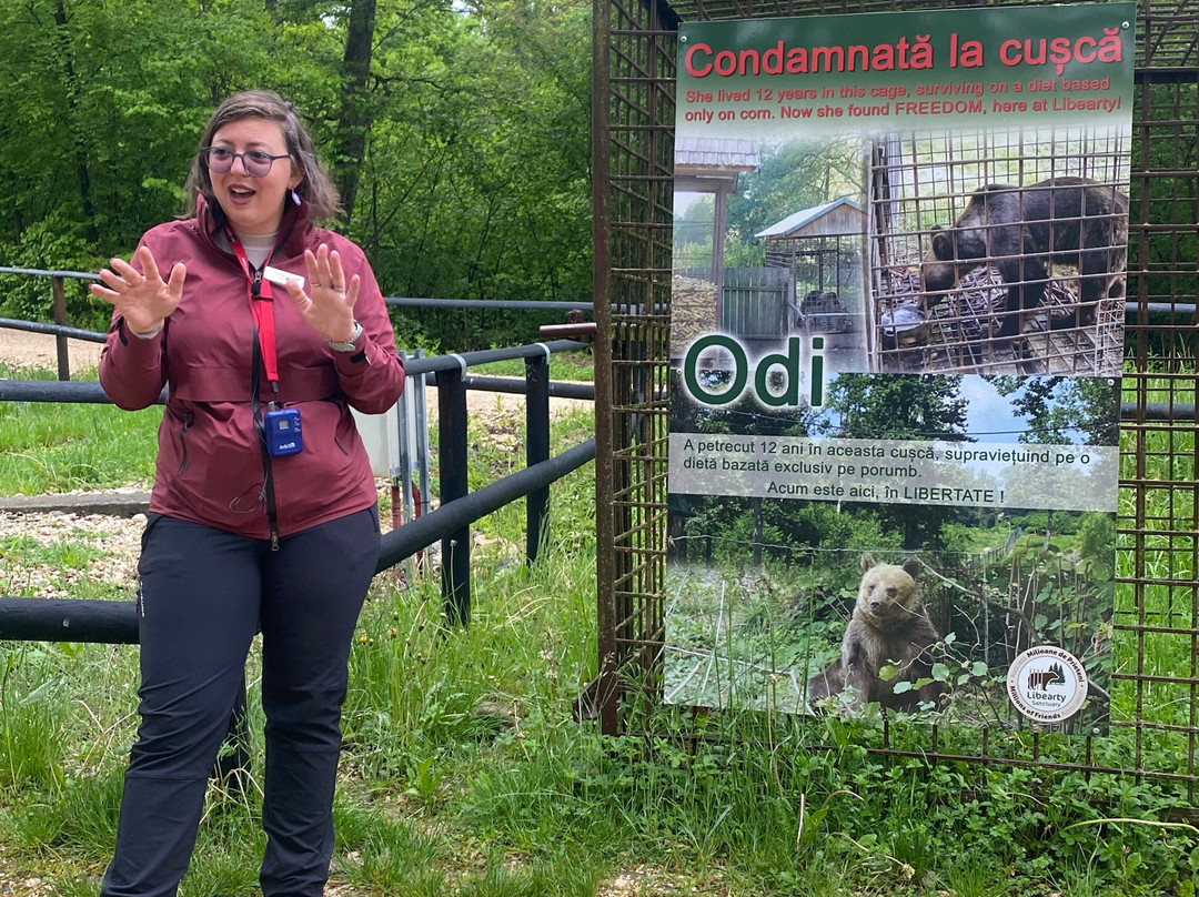 Libearty Bear Sanctuary Zarnesti-Zarnesti必去景点
