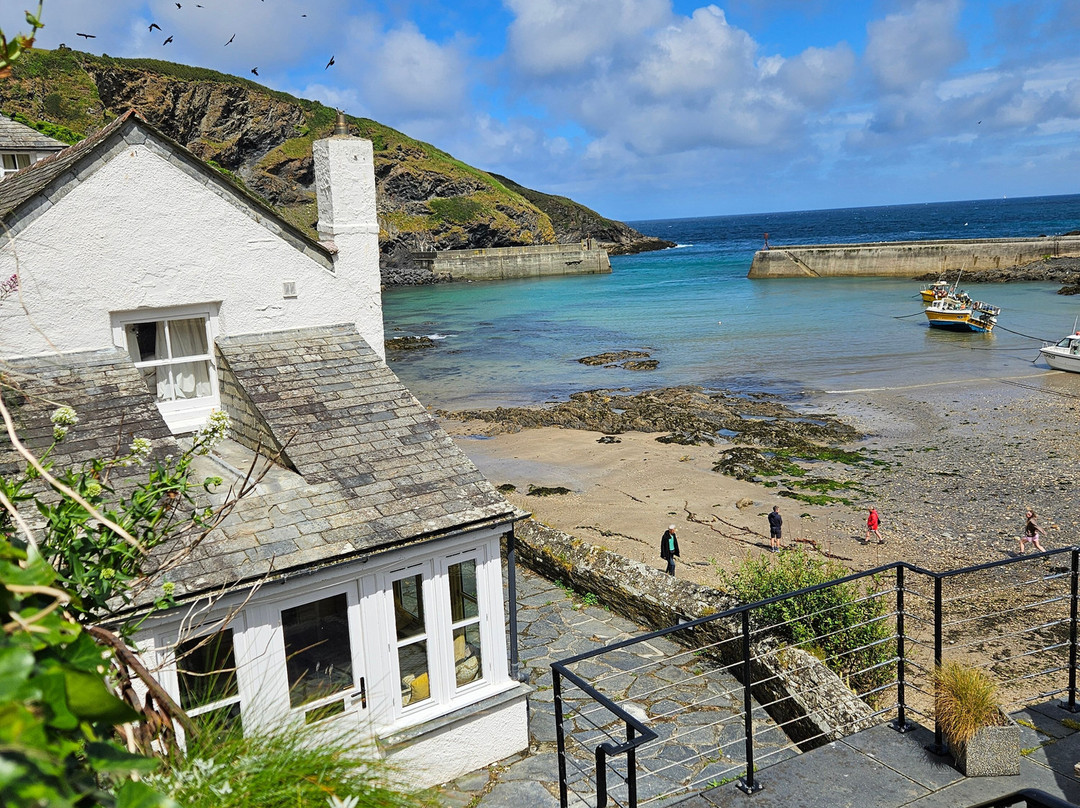 Harbour, Port Isaac-Port Isaac必去景点