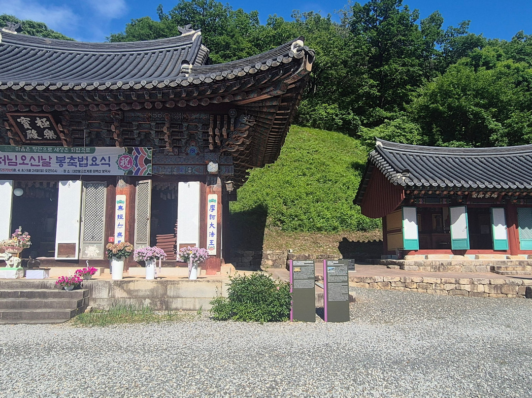 bodeogsa