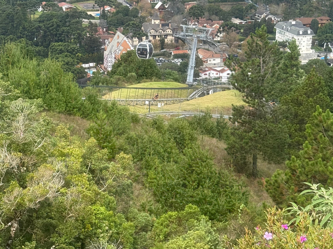 Morro do Elefante-坎普斯－杜若尔当必去景点