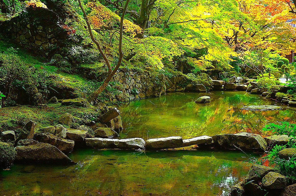 Kongorin-ji Temple Myojyuin Garden-爱庄町必去景点