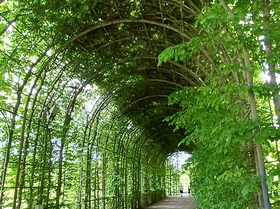 The Alnwick Garden-阿尼克必去景点